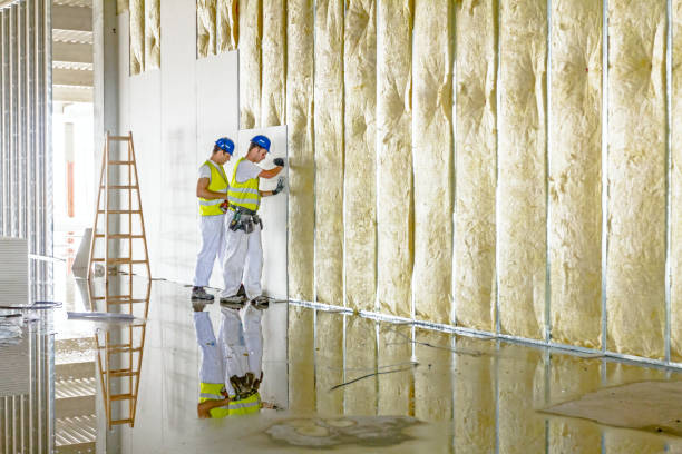 Best Insulation Maintenance and Repair in Arche, OK